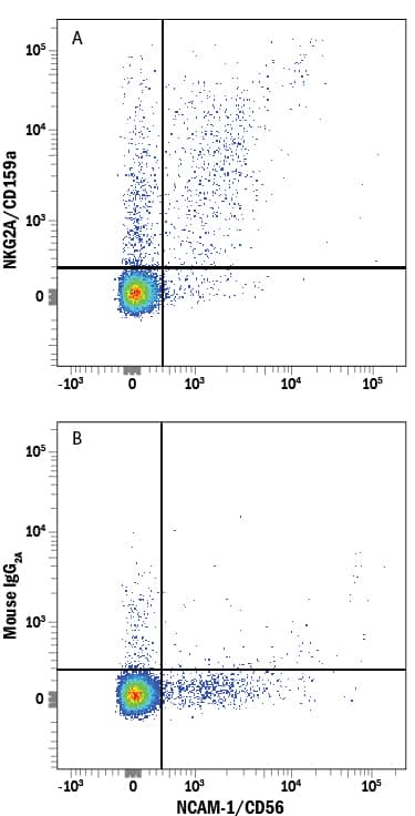 Human peripheral blood lymphocytes were stained with Mouse Anti-Human NCAM-1/CD56 APC-conjugated Monoclonal Antibody (Catalog # FAB2408A) and either (A) Mouse Anti-Human NKG2A/CD159a Biotinylated Monoclonal Antibody (Catalog # FAB1059B) or (B) Mouse IgG2ABiotinylated Isotype Control (Catalog # IC003B) followed by Streptavidin-Phycoerythrin (Catalog # F0040).