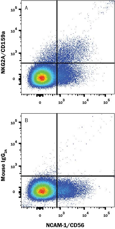 Human peripheral blood mononuclear cells (PBMCs) were stained with Mouse Anti-Human NCAM-1/CD56 APC-conjugated Monoclonal Antibody (Catalog # FAB2408A) and either (A) Mouse Anti-Human NKG2A/CD159a Monoclonal Antibody (Catalog # MAB1059) or (B) Mouse IgG2A Isotype Control (Catalog # MAB003) followed by Anti-Mouse IgG PE-conjugated secondary antibody (Catalog # F0101B). View our protocol for Staining Membrane-associated Proteins.