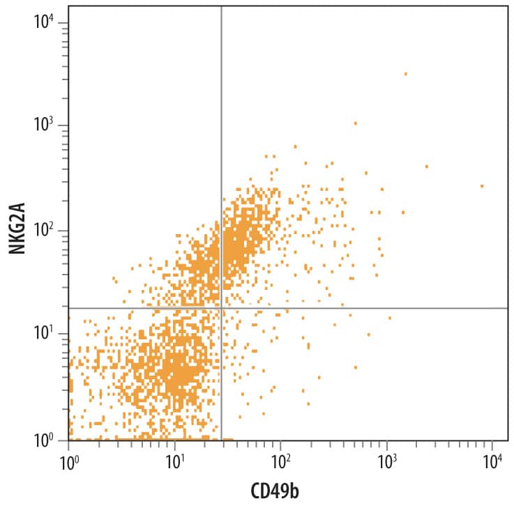Mouse splenocytes were stained with Rat Anti-Mouse NKG2A/CD159a Monoclonal Antibody (Catalog # MAB6867) followed by Allophycocyanin-conjugated Anti-Rat IgG Secondary Antibody (Catalog # F0113) and Rat Anti-Mouse Integrin a2/CD49b PE-conjugated Monoclonal Antibody (Catalog # FAB1740P). Quadrant markers were set based on control antibody staining (Catalog # MAB0061).