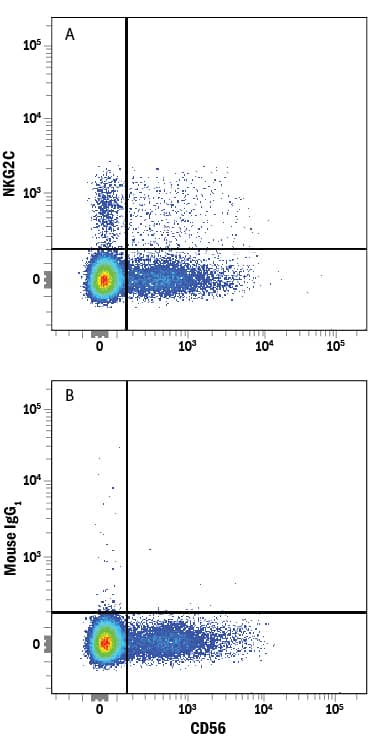 Human peripheral blood mononuclear cell (PBMC) lymphocytes were stained with Mouse Anti-Human NCAM-1/CD56 PE-conjugated Monoclonal Antibody (Catalog # FAB2408P) and either (A) Mouse Anti-Human NKG2C/CD159c APC-conjugated Monoclonal Antibody (Catalog # FAB138A) or (B) Mouse IgG1Allophycocyanin Isotype Control (Catalog # IC002A). View our protocol for Staining Membrane-associated Proteins.