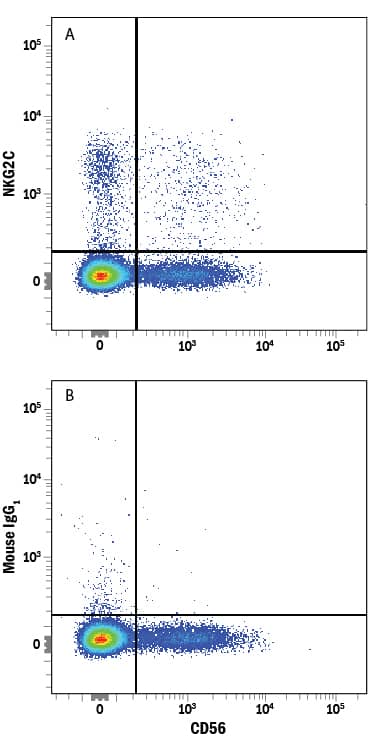Enhancement of cytokine‐driven IFN‐ gamma  production within CD56bright, CD56dimNKG2C−CD57− and CD56dimNKG2C+CD57− NK cells after vaccination. (A) Frequencies of IFN‐ gamma  producing NK cells after HCC stimulation of PBMC at baseline (0) and up to 24 weeks post TIV vaccination. (B) Gating strategy showing CD57 and NKG2C‐defined subsets. (C, D) Subset distribution for NK cell IFN‐ gamma  production after HCC stimulation of pre (0 weeks) and post‐vaccination (4, 12, 24 weeks) samples from subjects receiving (C) TIV and (D) DTPiP. Dots represent the frequency of IFN‐ gamma + NK cells for each subject and horizontal lines represent median frequency for each group. Statistical analysis was performed on paired samples using Wilcoxon signed‐rank test, *p FAB2408A) and either (A) Mouse Anti-Human NKG2C/CD159c PE-conjugated Monoclonal Antibody (Catalog # FAB138P) or (B) Mouse IgG1Phycoerythrin Isotype Control (Catalog # IC002P). View our protocol for Staining Membrane-associated Proteins.