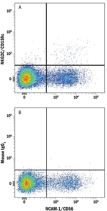 Human peripheral blood mononuclear cells (PBMCs) were stained with Mouse Anti-Human NCAM-1/CD56 PE-conjugated Monoclonal Antibody (Catalog # FAB2408P) and either (A) Mouse Anti-Human NKG2C/CD159c Alexa Fluor® 647-conjugated Monoclonal Antibody (Catalog # FAB138R) or (B) Mouse IgG1Alexa Fluor 647 Isotype Control (Catalog # IC002R). View our protocol for Staining Membrane-associated Proteins.