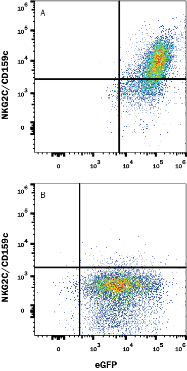 Flow Cytometry NKG2C/CD159c/KLRC2 Antibody (2098A) [Unconjugated]