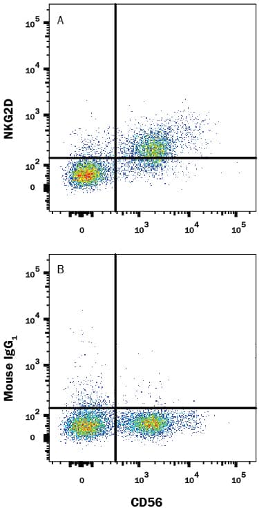 Peripheral blood mononuclear cells (PBMCs) gated on CD3-cells were stained with Mouse Anti-Human NCAM-1/CD56 PE-conjugated Monoclonal Antibody (Catalog # FAB2408P) and either (A) Mouse Anti-Human NKG2D/CD314 Alexa Fluor® 488-conjugated Monoclonal Antibody (Catalog # FAB139G) or (B) Mouse IgG1Alexa Fluor 488 Isotype Control (Catalog # IC002G). View our protocol for Staining Membrane-associated Proteins.