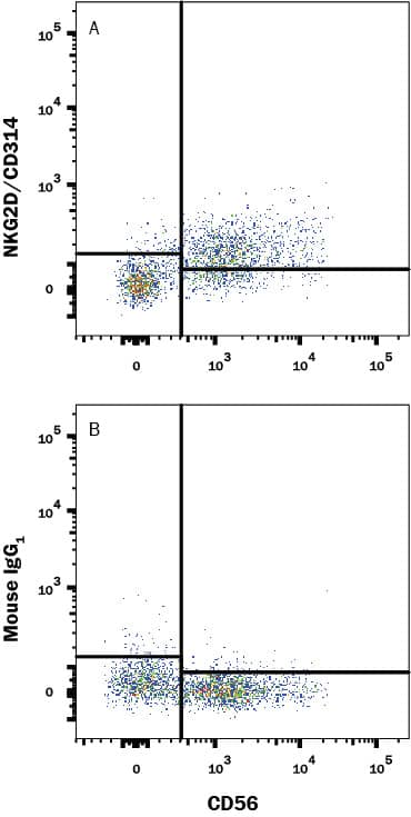 Human peripheral blood lymphocytes gated on CD3-cells were stained with Mouse Anti-Human NCAM-1/CD56 PE-conjugated Monoclonal Antibody (Catalog # FAB2408P) and either (A) Mouse Anti-Human NKG2D/CD314 Alexa Fluor® 700-conjugated Monoclonal Antibody (Catalog # FAB139N) or (B) Mouse IgG1Alexa Fluor 700 Isotype Control (Catalog # IC002N). View our protocol for Staining Membrane-associated Proteins.