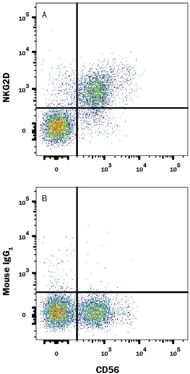 Human peripheral blood mononuclear cells (PBMCs) gated on CD3-cells were stained with Mouse Anti-Human NCAM-1/CD56 APC-conjugated Monoclonal Antibody (Catalog # FAB2408A) and either (A) Mouse Anti-Human NKG2D/CD314 PE-conjugated Monoclonal Antibody (Catalog # FAB139P) or (B) Mouse IgG1Phycoerythrin Isotype Control (Catalog # IC002P). View our protocol for Staining Membrane-associated Proteins.