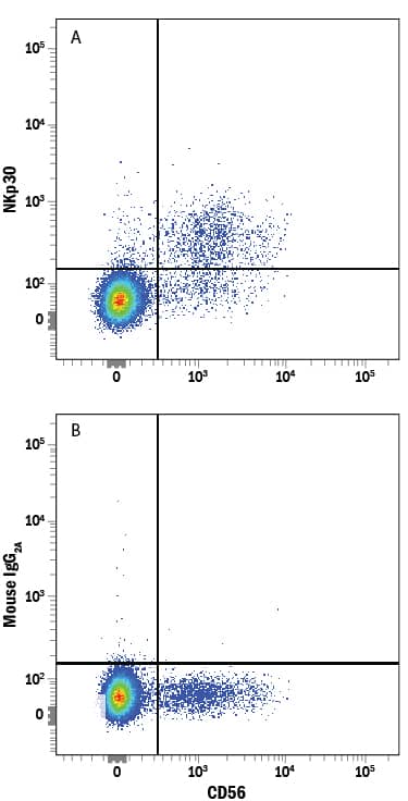 Human peripheral blood mononuclear cells (PBMCs) were stained with Mouse Anti-Human NCAM-1/CD56 PE-conjugated Monoclonal Antibody (Catalog # FAB2408P) and either (A) Mouse Anti-Human NKp30/NCR3 Alexa Fluor® 488-conjugated Monoclonal Antibody (Catalog # FAB1849G) or (B) Mouse IgG2AAlexa Fluor 488 Isotype Control (Catalog # IC003G). View our protocol for Staining Membrane-associated Proteins.