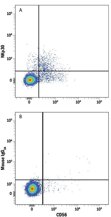Human peripheral blood mononuclear cells (PBMCs) were stained with Mouse Anti-Human NCAM-1/CD56 APC-conjugated Monoclonal Antibody (Catalog # FAB2408A) and either (A) Mouse Anti-Human NKp30/NCR3 PE-conjugated Monoclonal Antibody (Catalog # FAB1849P) or (B) Mouse IgG2APhycoerythrin Isotype Control (Catalog # IC003P). View our protocol for Staining Membrane-associated Proteins.