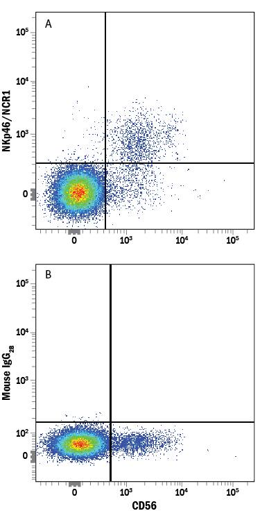 Human peripheral blood mononuclear cells (PBMCs) were stained with Mouse Anti-Human NCAM-1/CD56 PE-conjugated Monoclonal Antibody (Catalog # FAB2408P) and either (A) Mouse Anti-Human NKp46/NCR1 APC-conjugated Monoclonal Antibody (Catalog # FAB1850A) or (B) Mouse IgG2BAllophycocyanin Isotype Control (Catalog # IC0041A). View our protocol for Staining Membrane-associated Proteins.