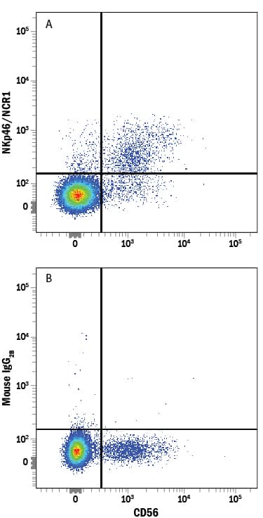 Human peripheral blood mononuclear cells (PBMCs) were stained with Mouse Anti-Human NCAM-1/CD56 PE-conjugated Monoclonal Antibody (Catalog # FAB2408P) and either (A) Mouse Anti-Human NKp46/NCR1 Fluorescein-conjugated Monoclonal Antibody (Catalog # FAB1850F) or (B) Mouse IgG2BFluorescein Isotype Control (Catalog # IC0041F). View our protocol for Staining Membrane-associated Proteins.