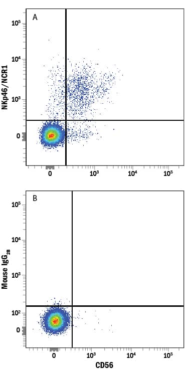 Human peripheral blood mononuclear cells (PBMCs) were stained with Mouse Anti-Human NCAM-1/CD56 APC-conjugated Monoclonal Antibody (Catalog # FAB2408A) and either (A) Mouse Anti-Human NKp46/NCR1 PE-conjugated Monoclonal Antibody (Catalog # FAB1850P) or (B) Mouse IgG2BPhycoerythrin Isotype Control (Catalog # IC0041P). View our protocol for Staining Membrane-associated Proteins.