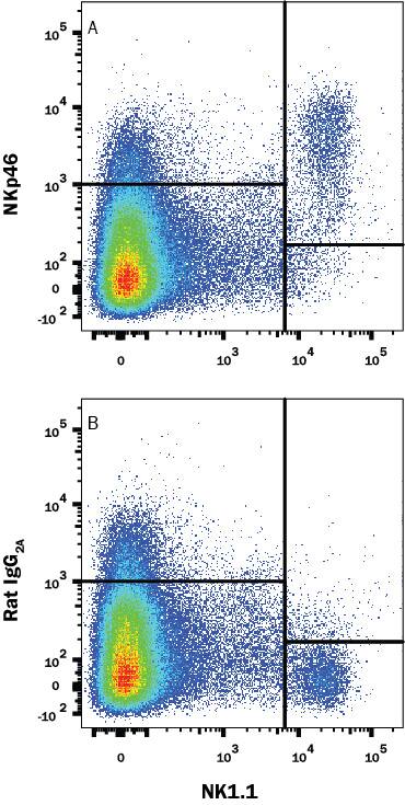 Mouse splenocytes were stained with (A) Rat Anti-Mouse NKp46/NCR1 Monoclonal Antibody (Catalog # MAB22252) or (B) Rat IgG2AIsotype Control Antibody (Catalog # [[catalogNumber:MAB006) followed by APC-conjugated Anti-Rat IgG Secondary Antibody (Catalog # [[catalogNumber:F0113) and anti-Mouse NK1.1 Alexa Fluor® 488-conjugated Monoclonal Antibody ([[catalogNumber:FAB76141G). View our protocol for Staining Membrane-associated Proteins.