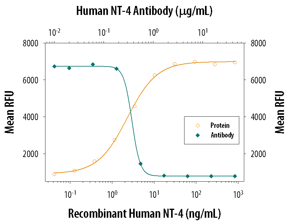 Recombinant Human NT-4 (Catalog # 268-N4) stimulates proliferation in BaF-TrKB-BD mouse pro-B cell line transfected with TrkB in a dose-dependent manner (orange line). Proliferation elicited by Recombinant Human NT-4 (40 ng/mL) is neutralized (green line) by increasing concentrations of Goat Anti-Human NT-4 Antigen Affinity-purified Polyclonal Antibody (Catalog # AF-268-NA). The ND50 is typically 0.4-2 µg/mL.