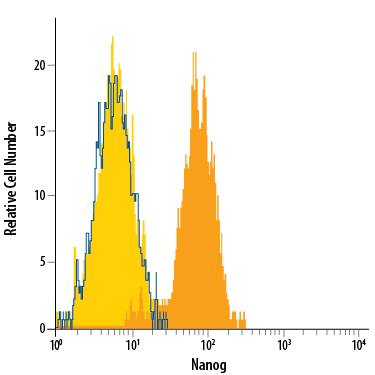 D3 mouse embryonic stem cell line either untreated (dark orange filled histogram) or treated with retinoic acid for 3 days (light orange filled histogram) was stained with Goat Anti-Mouse Nanog Alexa Fluor® 488-conjugated Antigen Affinity-purified Polyclonal Antibody (Catalog # IC2729G) or isotype control antibody (Catalog # IC108G, blue open histogram). To facilitate intracellular staining, cells were fixed with Flow Cytometry Fixation Buffer (Catalog # FC004) and permeabilized with Flow Cytometry Permeabilization/Wash Buffer I (Catalog # FC005). View our protocol for Staining Intracellular Molecules.