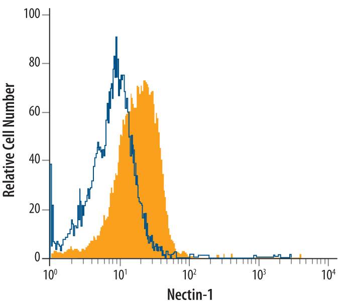 U937 human histiocytic lymphoma cell line was stained with Human Nectin-1 Monoclonal Antibody (Catalog # MAB2880, filled histogram) or isotype control antibody (Catalog # MAB003, open histogram), followed by Allophycocyanin-conjugated Anti-Mouse IgG F(ab')2Secondary Antibody (Catalog # F0101B).