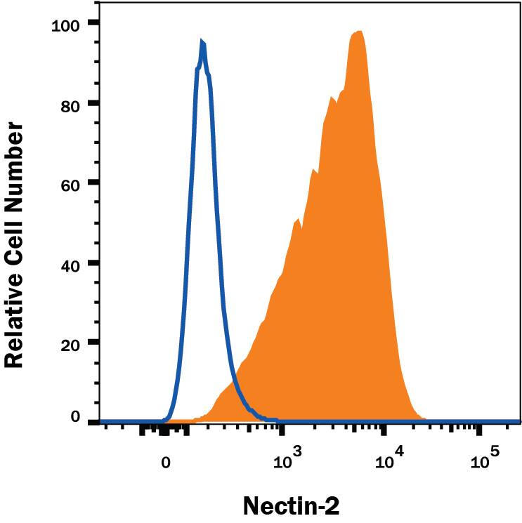 K562 human chronic myelogenous leukemia cell line was stained with Mouse Anti-Human Nectin-2/CD112 Monoclonal Antibody (Catalog # MAB2229, filled histogram) or isotype control antibody (Catalog # MAB002, open histogram) followed by PE-conjugated Goat anti-mouse secondary antibody (Catalog # F0102B). View our protocol for Staining Membrane-associated Proteins.