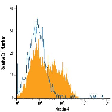 MCF-7 human breast cancer cell line was stained with Mouse Anti-Human Nectin-4 PE-conjugated Monoclonal Antibody (Catalog # FAB2659P, filled histogram) or isotype control antibody (Catalog # IC0041P, open histogram). View our protocol for Staining Membrane-associated Proteins.