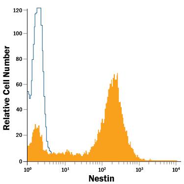 NTera-2 human testicular embryonic carcinoma cell line was stained with Mouse Anti-Human Nestin APC-conjugated Monoclonal Antibody (Catalog # IC1259A, filled histogram) or isotype control antibody (Catalog # IC002A, open histogram). View our protocol for Staining Intracellular Molecules.