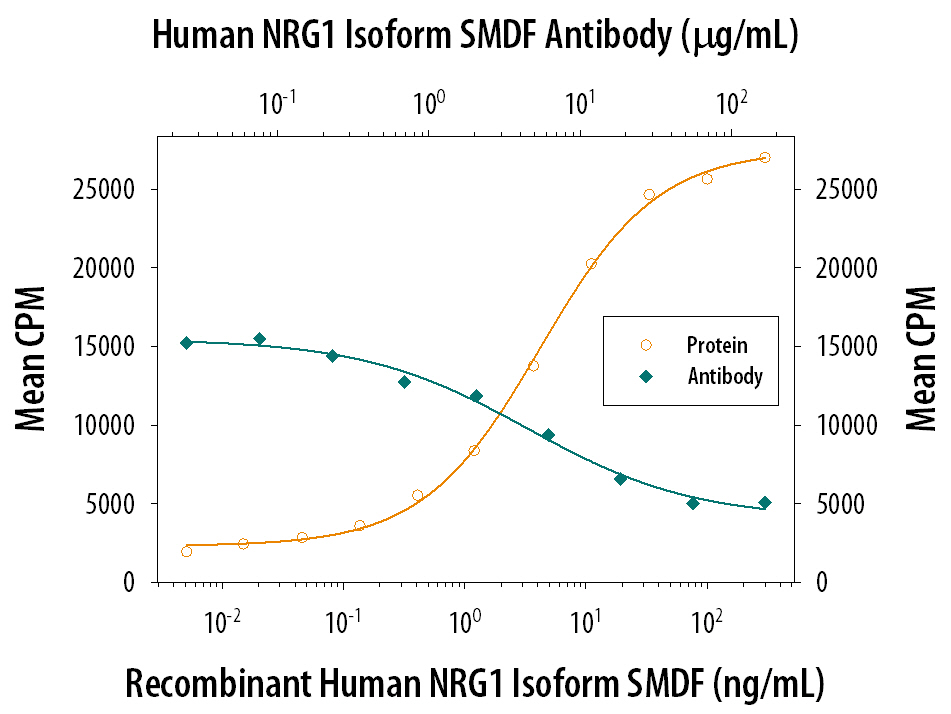 Recombinant Human NRG1 Isoform SMDF (Catalog # 378-SM) stimulates proliferation in the MCF-7 human breast cancer cell line in a dose-dependent manner (orange line). Proliferation elicited by Recombinant Human NRG1 Isoform SMDF (12 ng/mL) is neutralized (green line) by increasing concentrations of Goat Anti-Human NRG1 Isoform SMDF Antigen Affinity-purified Polyclonal Antibody (Catalog # AF378). The ND50 is typically 2-8 µg/mL.