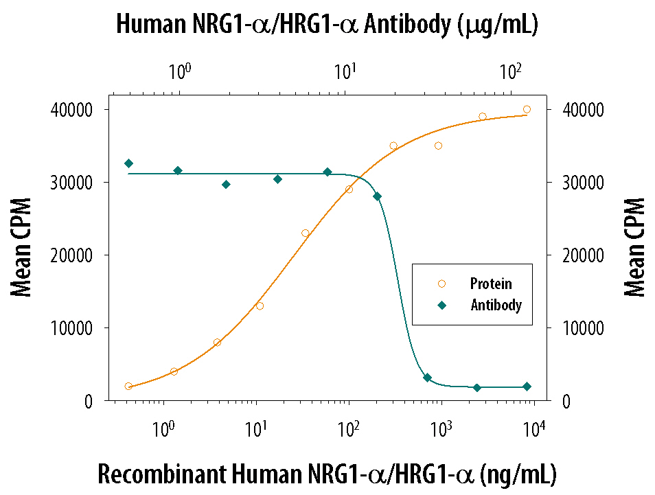 Recombinant Human NRG1-a/HRG1-a EGF Domain (Catalog # 296-HR) stimulates proliferation in the MCF-7 human breast cancer cell line in a dose-dependent manner (orange line). Proliferation elicited by Recombinant Human NRG1-a/HRG1-a EGF Domain (125 ng/mL) is neutralized (green line) by increasing concentrations of Human NRG1-a/HRG1-a EGF Domain Antigen Affinity-purified Polyclonal Antibody (Catalog # AF-296-NA). The ND50 is typically 7-30 µg/mL.