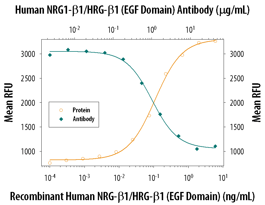 Recombinant Human NRG1-beta 1/ HRG1-beta 1 EGF Domain (Catalog # 396-HB) stimulates proliferation in the MCF-7 human breast cancer cell line in a dose-dependent manner (orange line). Proliferation elicited by Recombinant Human NRG1-beta 1/ HRG1-beta 1 EGF Domain (0.75 ng/mL) is neutralized (green line) by increasing concentrations of Goat Anti-Human NRG1-beta 1/HRG1-beta 1 EGF Domain Antigen Affinity-purified Polyclonal Antibody (Catalog # AF-396-NA). The ND50 is typically 0.5-2.0 µg/mL.