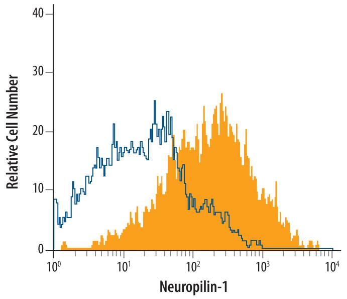 bEnd.3 mouse endothelioma cell line was stained with Goat Anti-Rat Neuropilin-1 Antigen Affinity-purified Polyclonal Antibody (Catalog # AF566, filled histogram) or isotype control antibody (Catalog # AB-108-C, open histogram), followed by Allophycocyanin-conjugated Anti-Goat IgG Secondary Antibody (Catalog # F0108).