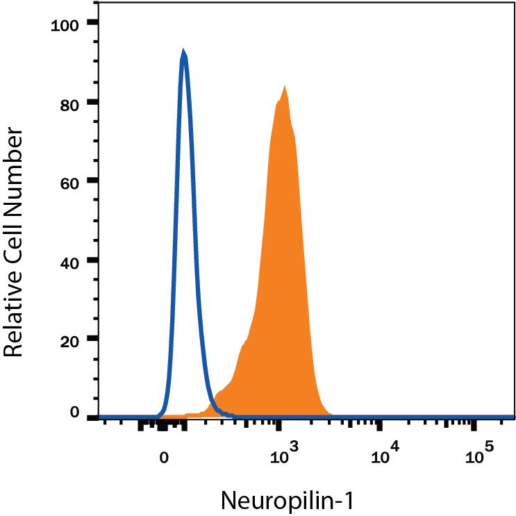 HUVEC human umbilical vein endothelial cells were stained with Mouse Anti-Human Neuropilin-1 Fluorescein-conjugated Monoclonal Antibody (Catalog # FAB3870F, filled histogram) or isotype control antibody (Catalog # IC003F, open histogram). View our protocol for Staining Membrane-associated Proteins.