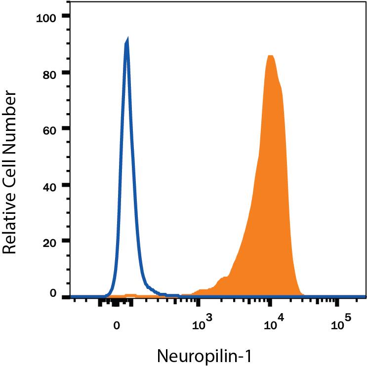 HUVEC human umbilical vein endothelial cells were stained with Mouse Anti-Human Neuropilin-1 PE-conjugated Monoclonal Antibody (Catalog # FAB3870P, filled histogram) or isotype control antibody (Catalog # IC003P, open histogram). View our protocol for Staining Membrane-associated Proteins.