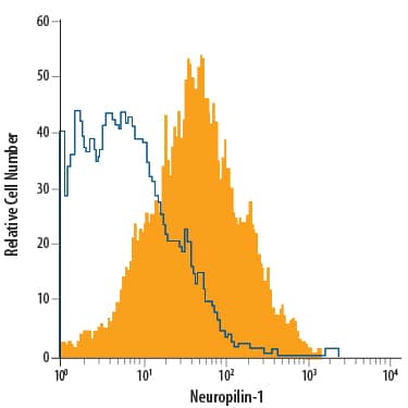 bEnd.3 mouse endothelioma cell line was stained with Goat Anti-Mouse/Rat Neuropilin-1 APC-conjugated Antigen Affinity-purified Polyclonal Antibody (Catalog # FAB566A, filled histogram) or isotype control antibody (Catalog # IC108A, open histogram). View our protocol for Staining Membrane-associated Proteins.