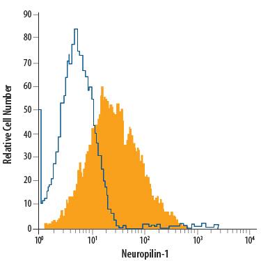 bEnd.3 mouse endothelioma cell line was stained with Goat Anti-Mouse/Rat Neuropilin-1 Fluorescein-conjugated Antigen Affinity-purified Polyclonal Antibody (Catalog # FAB566F, filled histogram) or isotype control antibody (Catalog # IC108F, open histogram). View our protocol for Staining Membrane-associated Proteins.