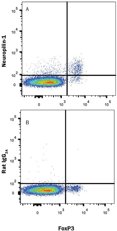 Mouse CD4+splenocytes were stained with Rabbit Anti-Human/Mouse FoxP3 Alexa Fluor® 647-conjugated Monoclonal Antibody (Catalog # IC8214R) and either (A) Rat Anti-Mouse Neuropilin-1 Alexa Fluor® 488-conjugated Monoclonal Antibody (Catalog # FAB59941G) or (B) Rat IgG2AAlexa Fluor 488 Isotype Control (Catalog # IC006G). View our protocol for Staining Membrane-associated Proteins.
