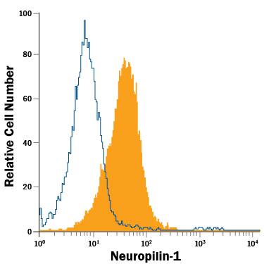 bEnd.3 mouse endothelioma cell line was stained with Rat Anti-Mouse Neuropilin-1 PE-conjugated Monoclonal Antibody (Catalog # FAB5994P, filled histogram) or isotype control antibody (Catalog # IC006P, open histogram). View our protocol for Staining Membrane-associated Proteins.