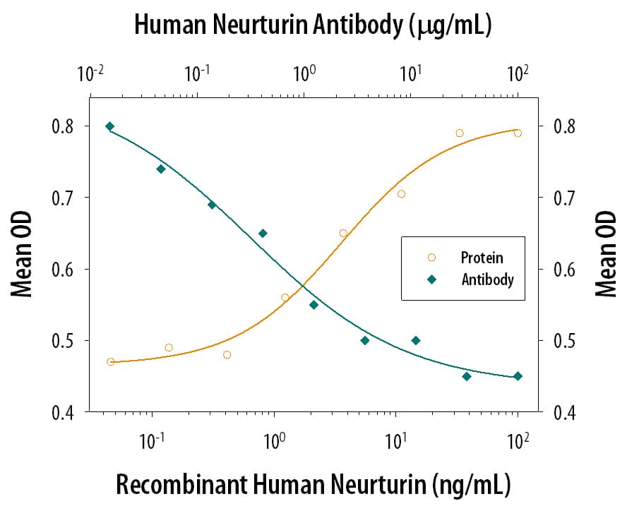 Neutralization Neurturin Antibody