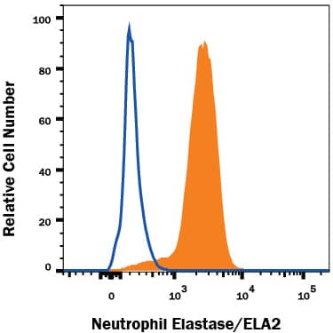 THP-1 human acute monocytic leukemia cell line treated with 3 µM monensin for 3 hours was stained with Mouse Anti-Human Neutrophil Elastase/ELA2 Monoclonal Antibody (Catalog # MAB91671, filled histogram) or isotype control antibody (Catalog # MAB002, open histogram), followed by Phycoerythrin-conjugated Anti-Mouse IgG Secondary Antibody (Catalog # F0102B). To facilitate intracellular staining, cells were fixed with Flow Cytometry Fixation Buffer (Catalog # FC004) and permeabilized with Flow Cytometry Permeabilization/Wash Buffer I (Catalog # FC005). View our protocol for Staining Intracellular Molecules.
