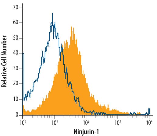 HepG2 human hepatocellular carcinoma cell line was stained with Mouse Anti-Human Ninjurin-1 Monoclonal Antibody (Catalog # MAB51051, filled histogram) or isotype control antibody (Catalog # MAB002, open histogram), followed by Phycoerythrin-conjugated Anti-Mouse IgG Secondary Antibody (Catalog # F0102B).