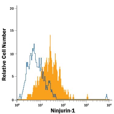 HepG2 human hepatocellular carcinoma cell line was stained with Mouse Anti-Human Ninjurin-1 Alexa Fluor® 488-conjugated Monoclonal Antibody (Catalog # FAB51051G, filled histogram) or isotype control antibody (Catalog # IC002G, open histogram). View our protocol for Staining Membrane-associated Proteins.