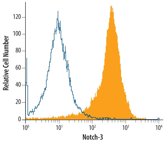 BGO1v human embryonic stem cells were stained with Mouse Anti-Human Notch-3 Monoclonal Antibody (Catalog # MAB1559, filled histogram) or isotype control antibody (Catalog # MAB002, open histogram), followed by Phycoerythrin-conjugated Anti-Mouse IgG Secondary Antibody (Catalog # F0102B).