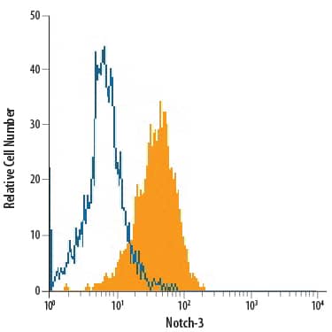 BG01V human embryonic stem cells were stained with Mouse Anti-Human Notch-3 PE-conjugated Monoclonal Antibody (Catalog # FAB6870P, filled histogram) or isotype control antibody (IC002P, open histogram). View our protocol for Staining Membrane-associated Proteins.
