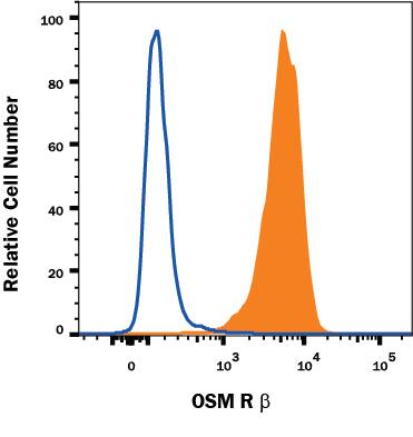 HeLa human cervical epithelial carcinoma cell line was stained with Goat Anti-Human OSM R beta  Antigen Affinity-purified Polyclonal Antibody (Catalog # AF4389, filled histogram) or isotype control antibody (Catalog # AB-108-C, open histogram), followed by Phycoerythrin-conjugated Anti-Goat IgG Secondary Antibody (Catalog # F0107).