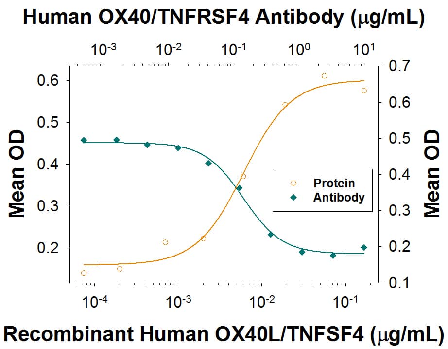 Neutralization OX40/TNFRSF4 Antibody [Unconjugated]