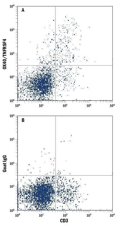 Activated-mouse splenocytes were stained with Rat Anti-Mouse CD3 APC-conjugated Monoclonal Antibody (Catalog # FAB4841A) and either (A) Goat Anti-Mouse OX40/TNFRSF4 PE-conjugated Antigen Affinity-purified Polyclonal Antibody (Catalog # FAB1256P) or (B) Normal Goat IgG Phycoerythrin Control (Catalog # IC108P). View our protocol for Staining Membrane-associated Proteins.