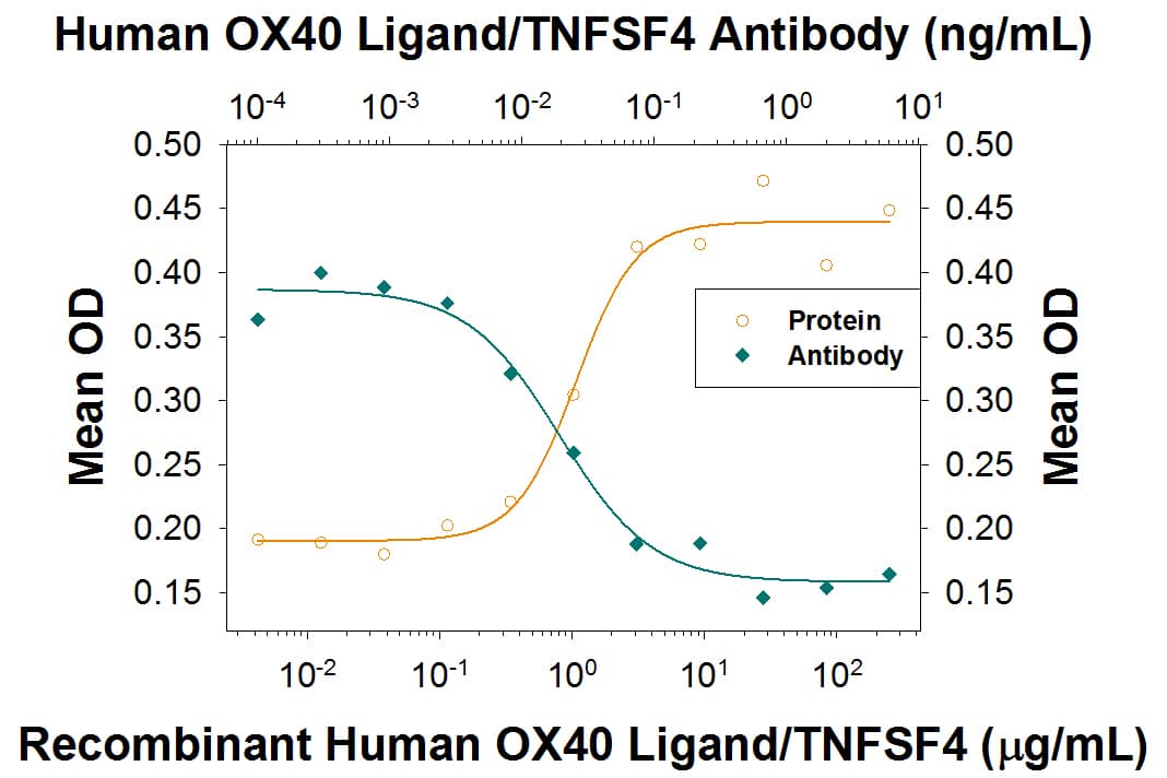Recombinant Human OX40 Ligand/TNFSF4 (Catalog # 1054-OX) induces IL-8 secretion in the HT1080 human fibrosarcoma cell line transfected with human OX40 in a dose-dependent manner as measured by the Human IL-8 DuoSet (Catalog # DY208). IL-8 secretion elicited by Recombinant Human OX40 Ligand/TNFSF4 (10 ng/mL) is neutralized (green line) by increasing concentrations of Goat Anti-Human OX40 Ligand/TNFSF4 Antigen Affinity-purified Polyclonal Antibody (Catalog # AF1054). The ND50 is typically 0.015-0.09 µg/mL.