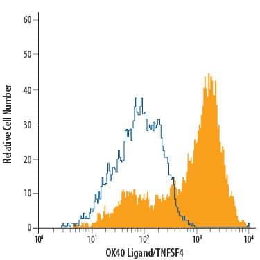 Human peripheral blood mononuclear cells (PBMCs) treated with Recombinant Human GM-CSF (Catalog # 215-GM) and LPS for 48 hours were stained with Mouse Anti-Human OX40 Ligand/TNFSF4 PE-conjugated Monoclonal Antibody (Catalog # FAB10541P, filled histogram) or isotype control antibody (Catalog # IC002P, open histogram). View our protocol for Staining Membrane-associated Proteins.