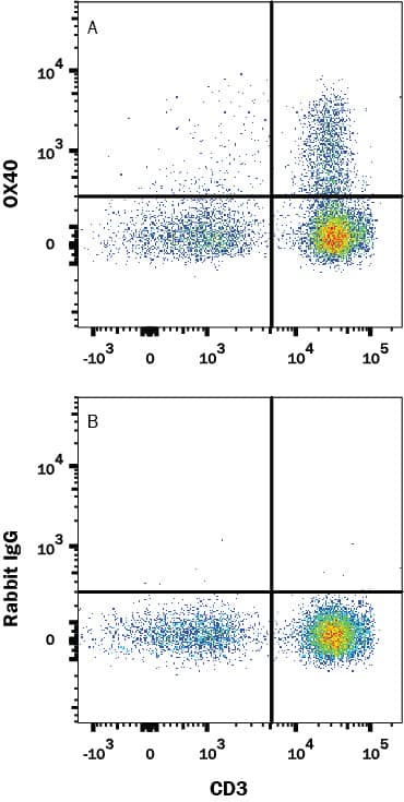 Human peripheral blood mononuclear cells (PBMCs) were treated with 5 μg/ml PHA for 5 days then stained with Mouse Anti-Human CD3 epsilon PE-conjugated Monoclonal Antibody FAB100P) and either (A) Rabbit Anti-Human OX40/TNFRSF4 Monoclonal Antibody (Catalog # MAB10545) or (B) Rabbit IgG Isotype Control (MAB1050) followed by APC-conjugated Anti-Rabbit IgG Secondary Antibody F0111). View our protocol for Staining Membrane-associated Proteins.