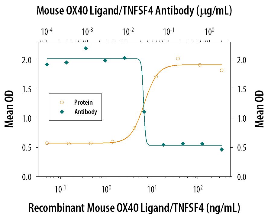 In the presence of a cross-linking antibody, Mouse polyHistidine Monoclonal Antibody (10 µg/mL, Catalog # MAB050) and sub-optimal amounts of Mouse CD3e Monoclonal Antibody (Catalog # MAB484), Recombinant Mouse OX40 Ligand/TNFSF4 (Catalog # 1236-OX) stimulates IL-2 secretion in mouse T cells in a dose-dependent manner (orange line), as measured by the Mouse IL-2 Quantikine ELISA Kit (Catalog # M2000). Under these conditions, IL-2 secretion elicited by Recombinant Mouse OX40 Ligand/TNFSF4 (30 ng/mL) is neutralized (green line) by increasing concentrations of Rat Anti-Mouse OX40 Ligand/TNFSF4 Monoclonal Antibody (Catalog # MAB1236). The ND50 is typically 0.01-0.05 µg/mL.