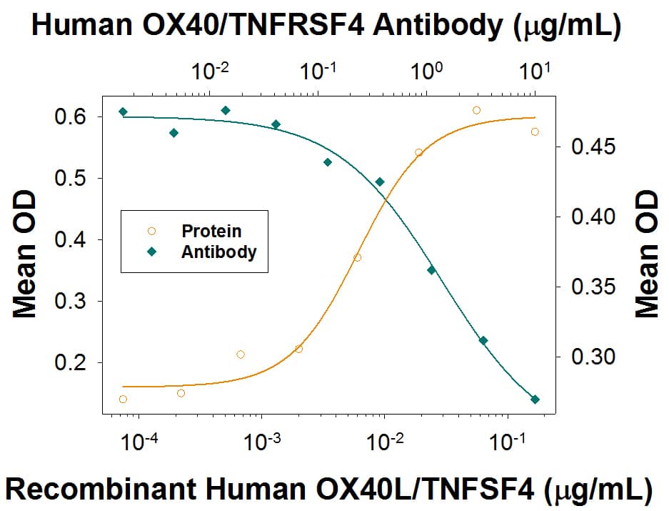 Recombinant Human OX40L/TNFSF4 (Catalog # 1054-OX) stimulates CXCL8/IL-8 secretion in the HT1080 human fibrosarcoma cell line transfected with human OX40/TNFRSF4 in a dose-dependent manner (orange line), as measured by the Human CXCL8/IL-8 Quantikine ELISA Kit (Catalog # D8000C). CXCL8/Il-8 Secretion elicited by Recombinant Human OX40L/TNFSF4 (20 ng/mL) is neutralized (green line) by increasing concentrations of Mouse Anti-Human OX40/TNFRSF4 Monoclonal Antibody (Catalog # MAB10543). The ND50 is typically 0.6-3.0 µg/mL.