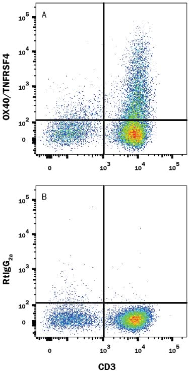 Human peripheral blood mononuclear cells (PBMCs) were treated with 5 μg/ml PHA for 5 days then stained with Mouse Anti-Human CD3e APC-conjugated Monoclonal Antibody (Catalog # FAB100A) and either (A) Rat Anti-Human OX40/TNFRSF4 Monoclonal Antibody (Catalog # MAB3388) or (B) Rat IgG2AIsotype Control (MAB006) followed by Phycoerythrin-conjugated Anti-Rat IgG Secondary Antibody (F0105B). View our protocol for Staining Membrane-associated Proteins.