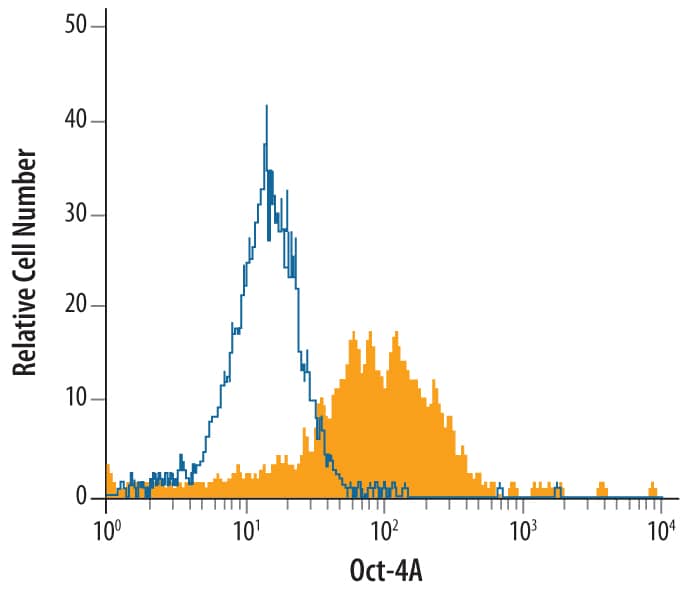 BG01V human embryonic stem cells were stained with Human Oct-4A Monoclonal Antibody (Catalog # MAB17591, filled histogram) or isotype control antibody (MAB003, open histogram), followed by Allophycocyanin-conjugated Anti-Mouse IgG F(ab')2Secondary Antibody (F0101B). To facilitate intracellular staining, cells were fixed with paraformaldehyde and permeabilized with saponin.