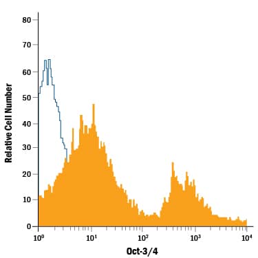 Mouse embryonic stem cells treated with 5 µM Retinoic Acid for 3 days were stained with Rat Anti-Human/Mouse Oct-3/4 PE-conjugated Monoclonal Antibody (Catalog # IC1759P, filled histogram) or isotype control antibody (Catalog # IC013P, open histogram). To facilitate intracellular staining, cells were fixed with Flow Cytometry Fixation Buffer (Catalog # FC004) and permeabilized with Flow Cytometry Permeabilization/Wash Buffer I (Catalog # FC005). View our protocol for Staining Intracellular Molecules.