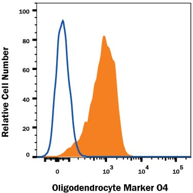 Rat cortical stem cells (Catalog # NSC001) either differentiated (filled histogram) or undifferentiated (open histogram) were stained with Mouse Anti-Human/Mouse/Rat/Chicken Oligodendrocyte Marker O4 Alexa Fluor® 594-conjugated Monoclonal Antibody (Catalog # FAB1326T). View our protocol for Staining Membrane-associated Proteins.